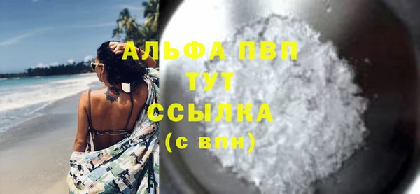 СК Алексин
