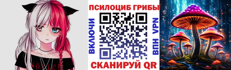 закладка  Мамадыш  Псилоцибиновые грибы ЛСД 